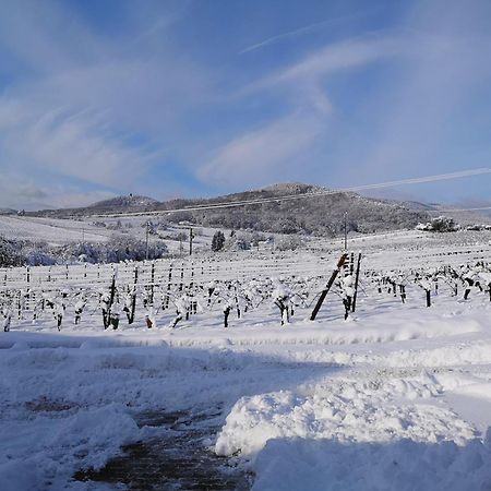 L'Altenberg ベルクハイム エクステリア 写真